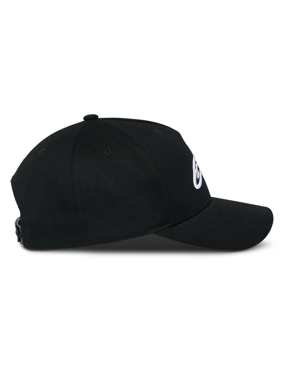 Ageless Snapback Pet