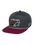 Intuitive Snapback Pet