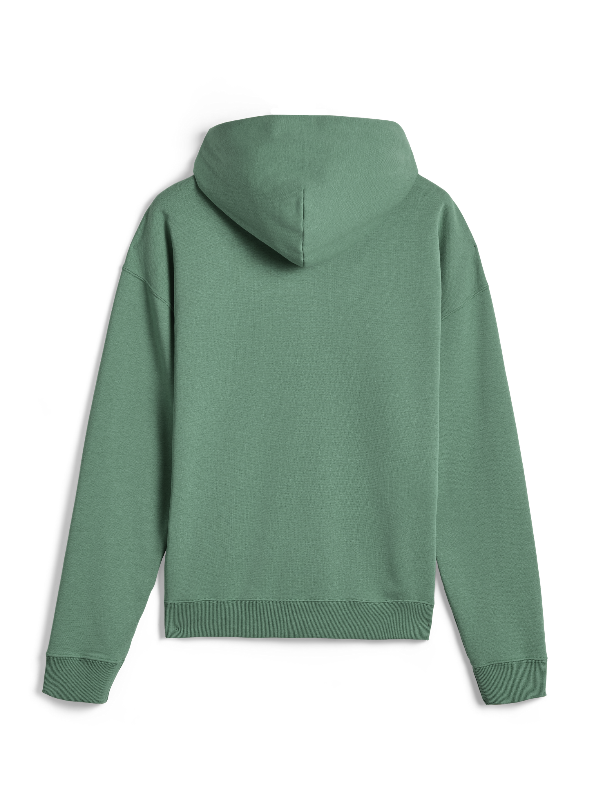 Alpinestars Essentials Ageless Hoodie, casual streetwear, Cactus groen, achteraanzicht, lange mouwen, pullover met capuchon, geribbelde boorden en zoom, strak minimalistisch ontwerp