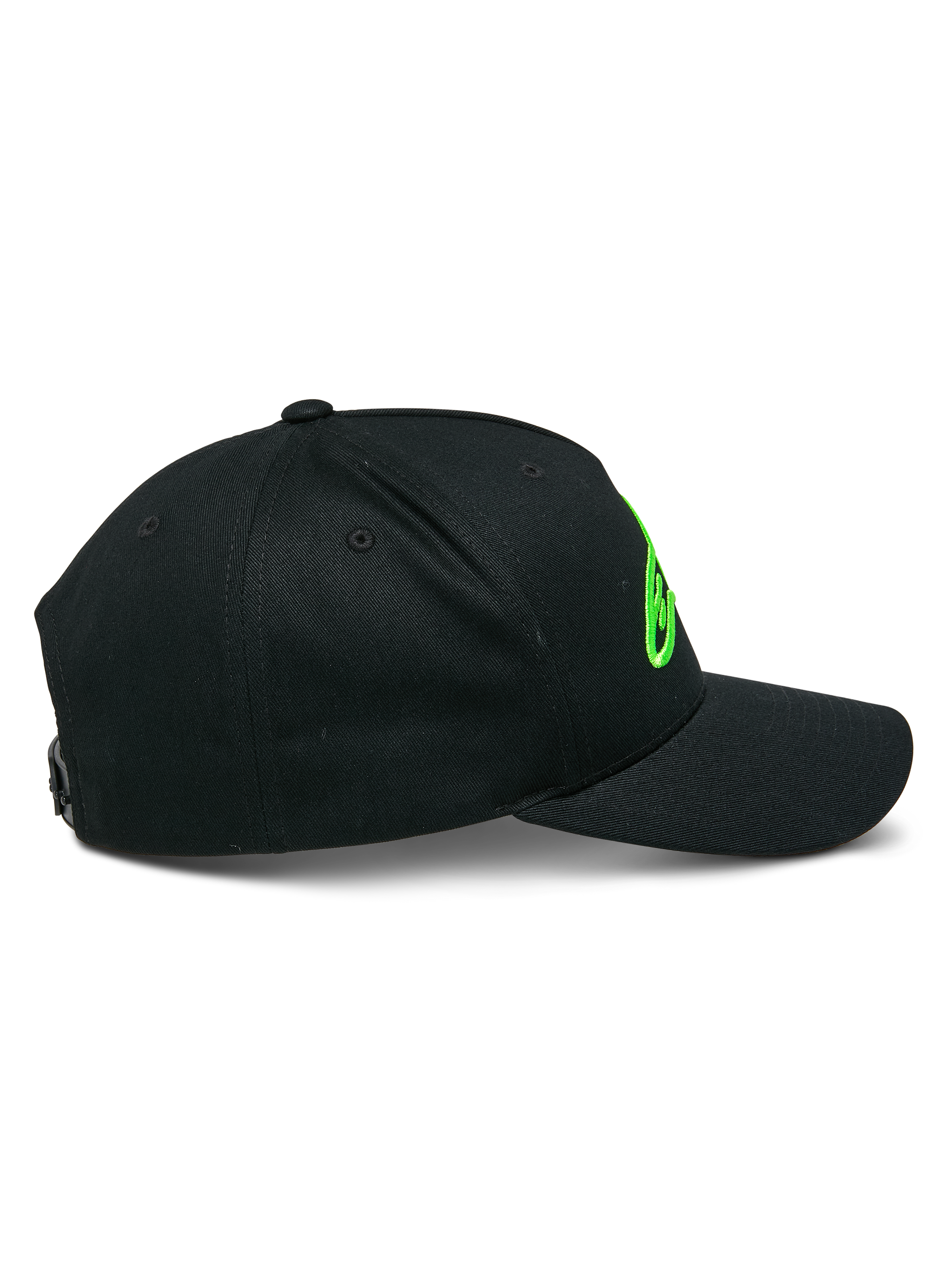 Ageless Snapback Pet