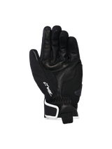 Moblast WP Handschoenen