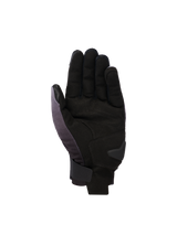 Reef V2 Handschoenen