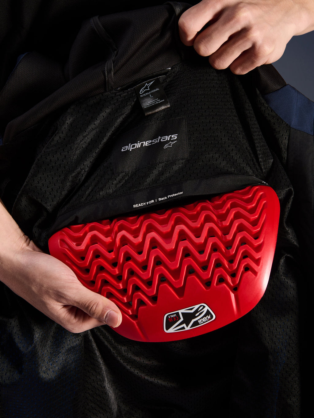 Alpinestars Radium Tech Hoodie interieurdetail, rode Nucleon Plasma rugprotector wordt in het vak voor de rugbeschermer geplaatst, zwarte mesh voering met 'READY FOR | Back Protector' tekst, golvend honingraatontwerp van de protectie, technische beschermingskenmerken voor een urban motorjas
