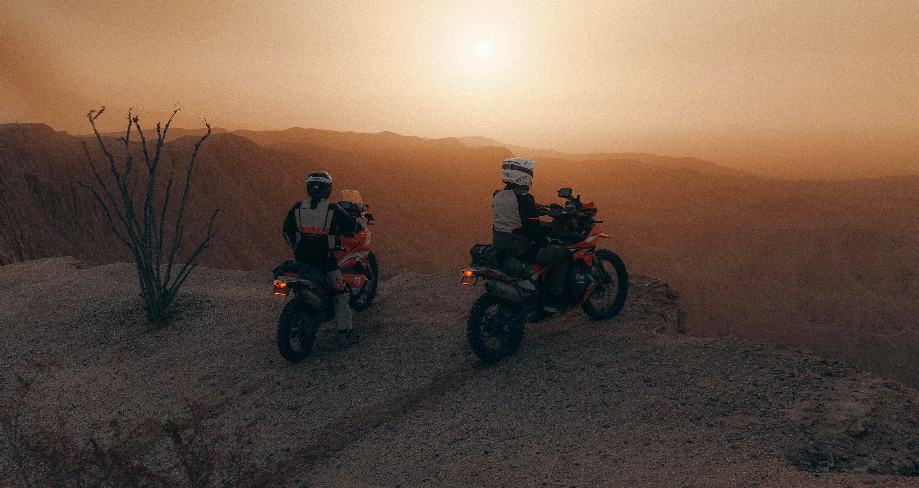 Image 68253790339450