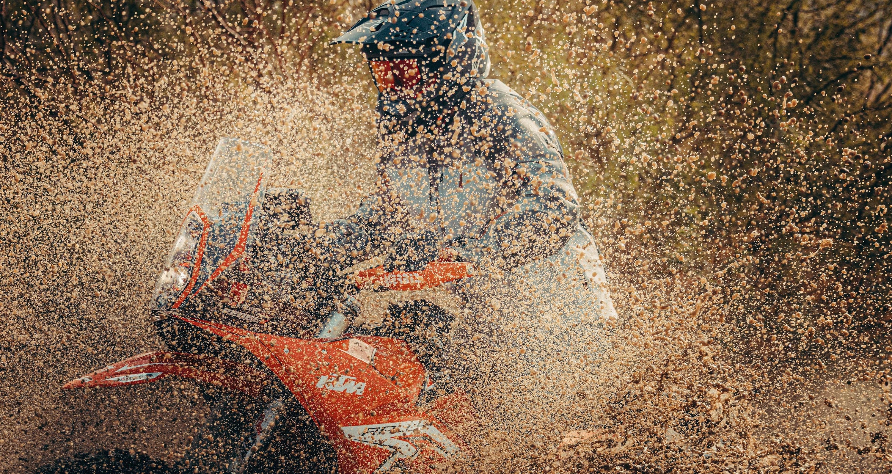 Image 68253863510394