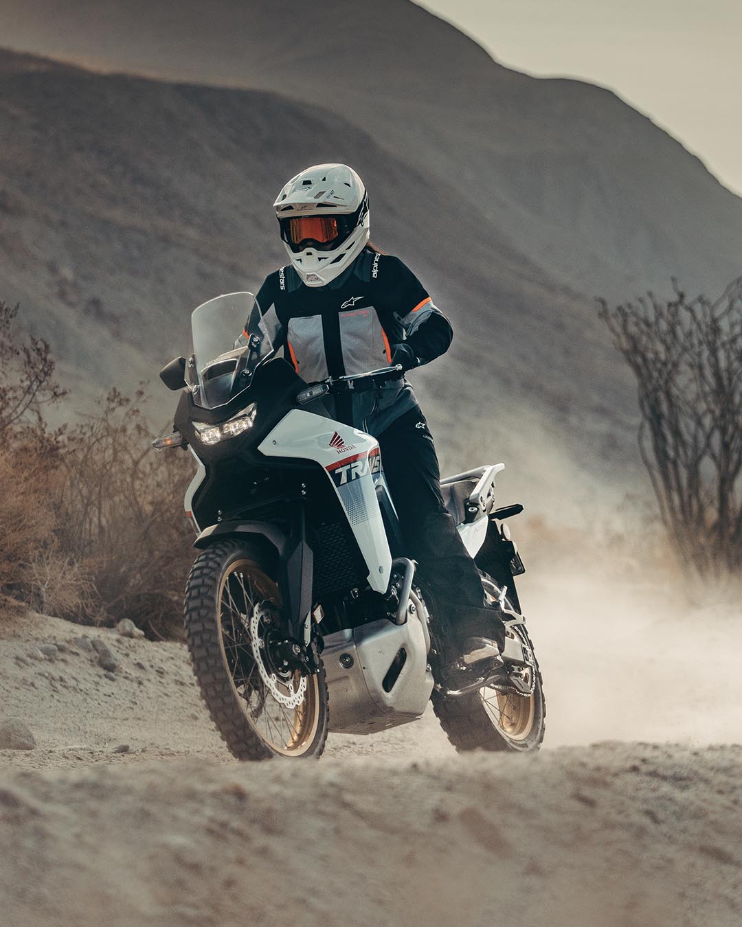 Image 68253762191738